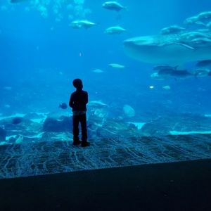 Meet your Posher, Trae